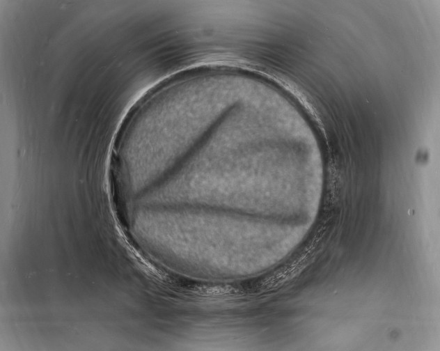 X0000098230791200805151340