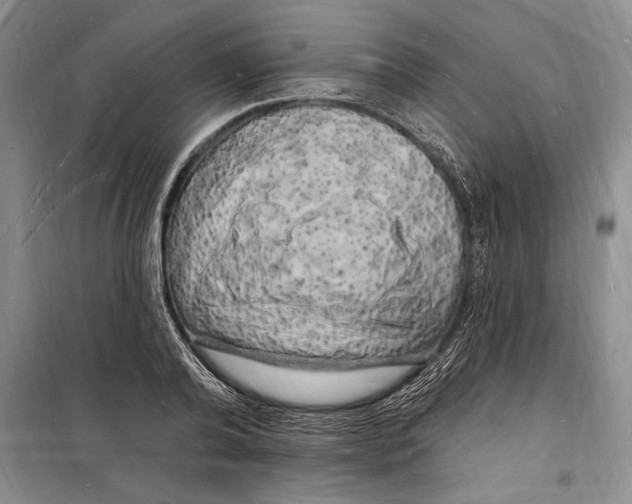 X0000098230792200805151340