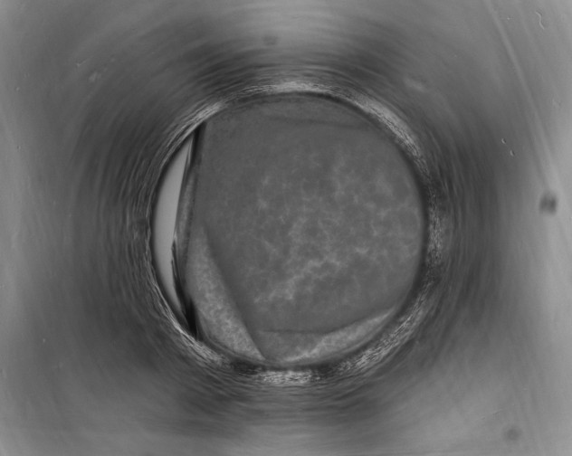 X0000098230793200805151340