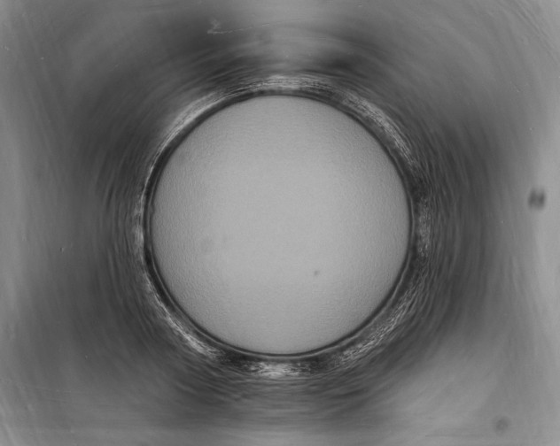 X0000098230794200805151340