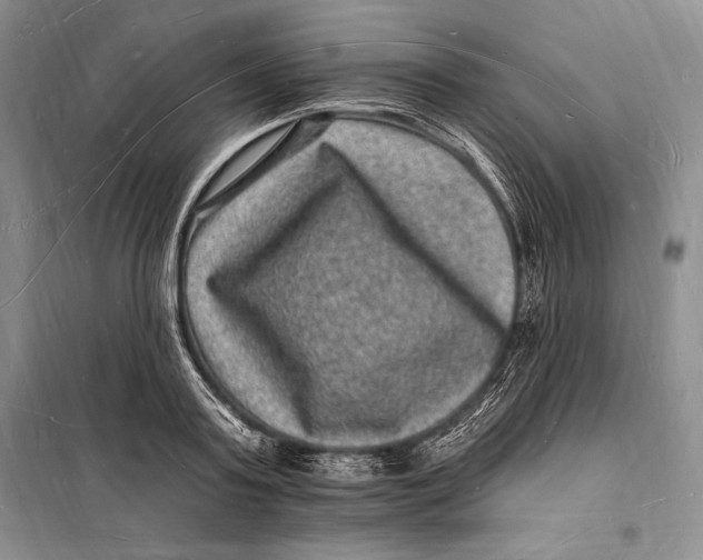 X0000098230795200805151340