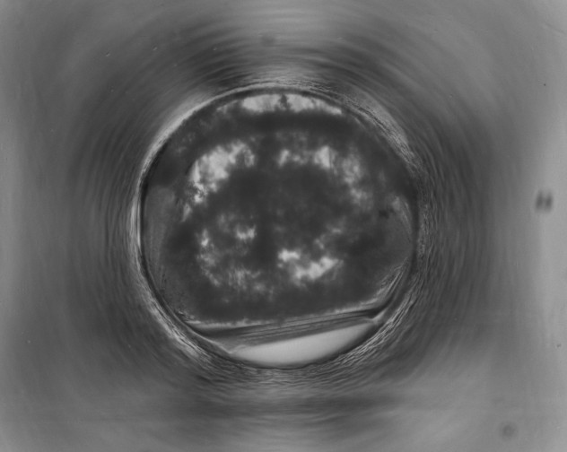 X0000098230796200805151340