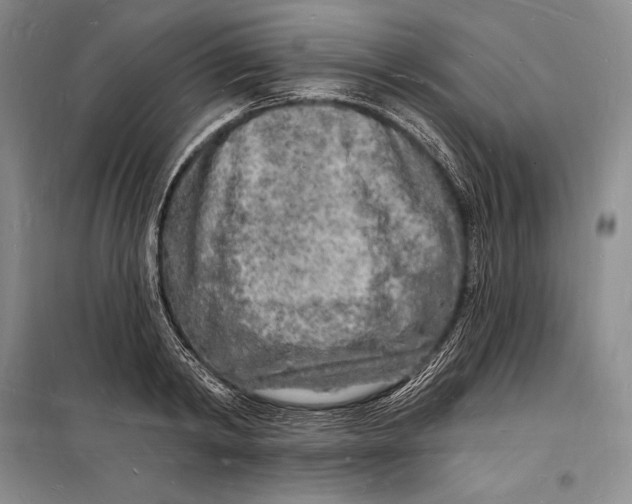 X0000098230798200805151340