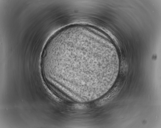 X0000098230799200805151340