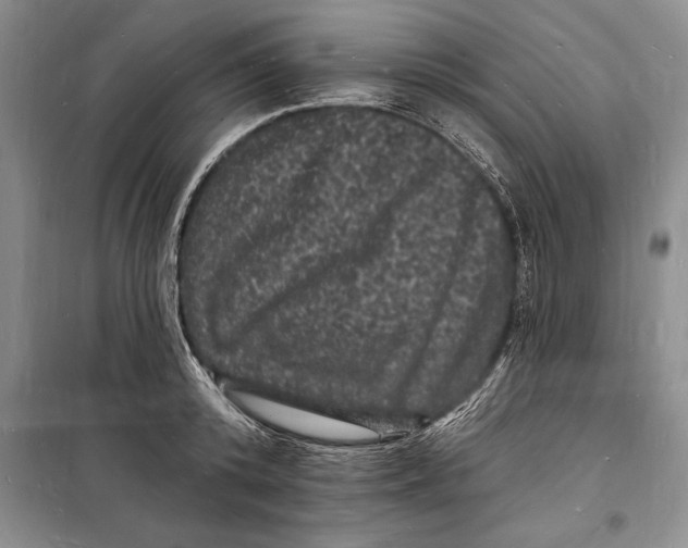 X0000098230800200805151340