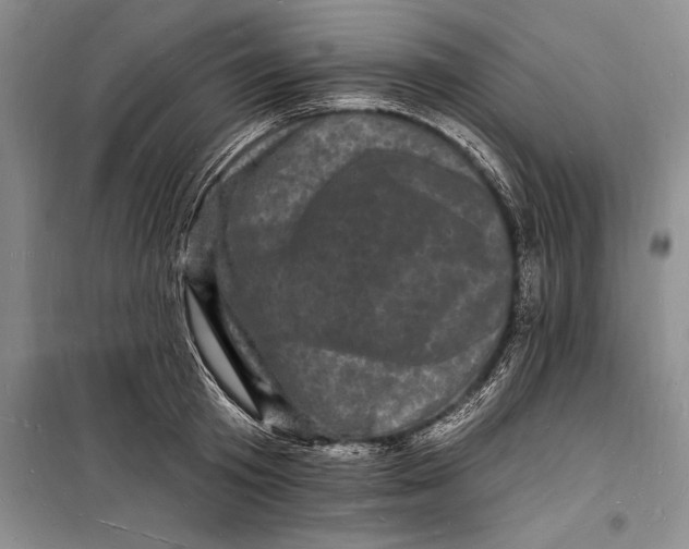 X0000098230801200805151340