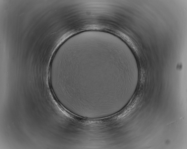 X0000098230802200805151340