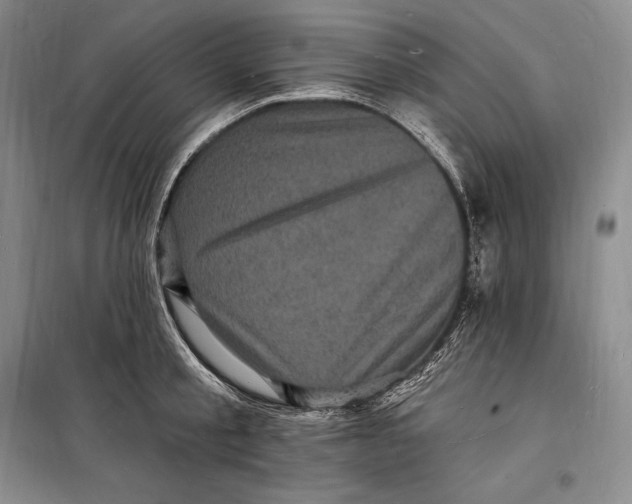 X0000098230805200805151340