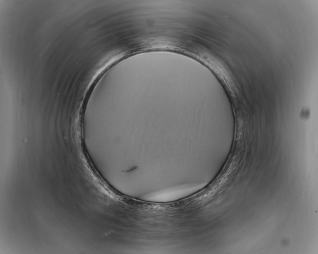 X0000098230806200805151340