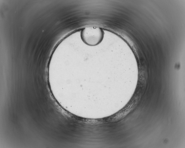 X0000098230807200805151340