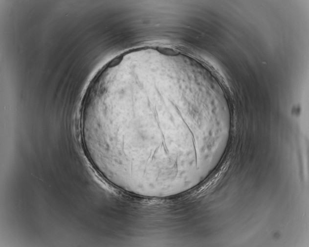 X0000098230808200805151340