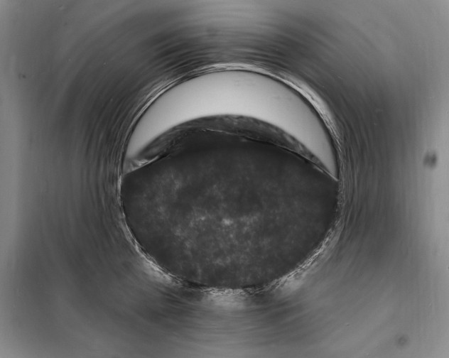 X0000098230809200805151340