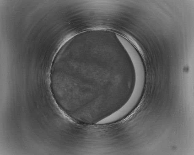 X0000098230810200805151340