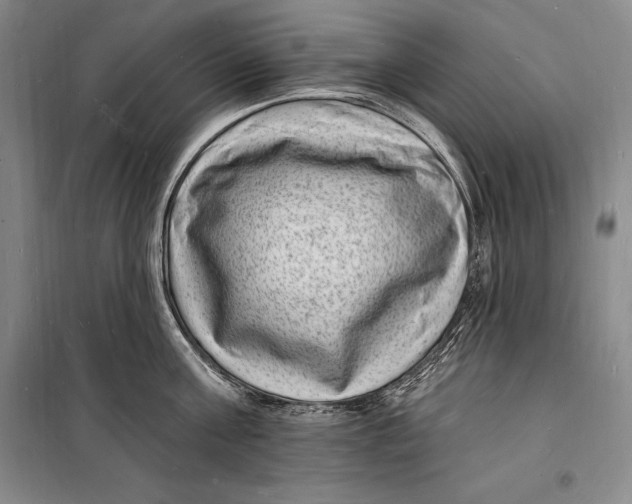 X0000098230811200805151340