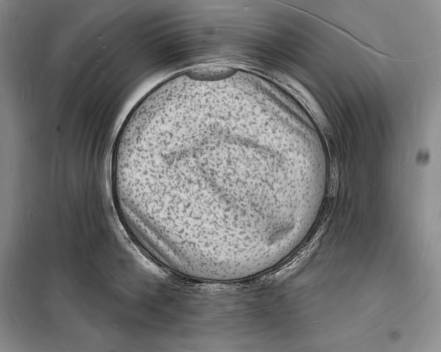 X0000098230812200805151340