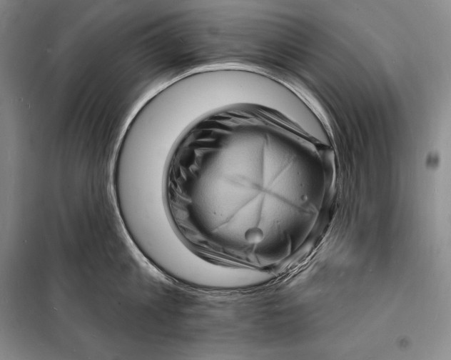 X0000098230813200805151340