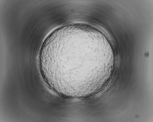 X0000098230814200805151340