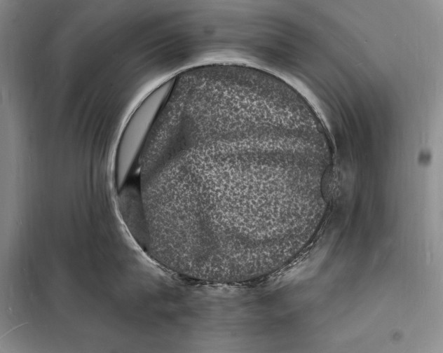 X0000098230815200805151340