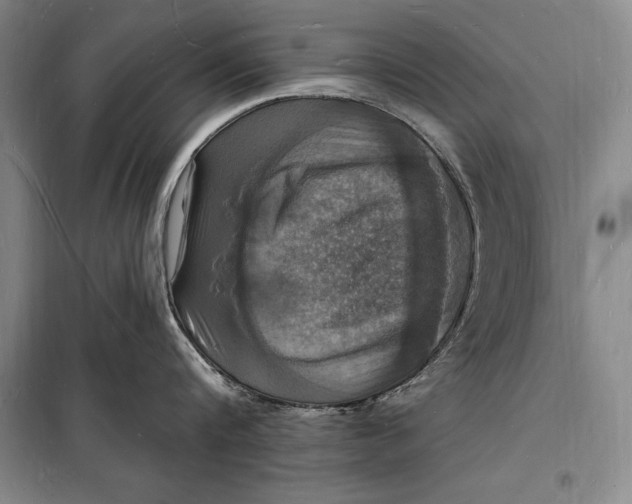 X0000098230816200805151340