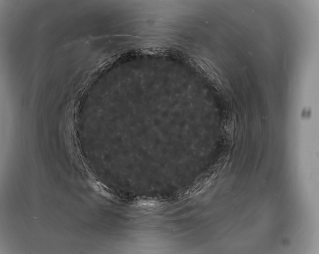 X0000098230817200805151339