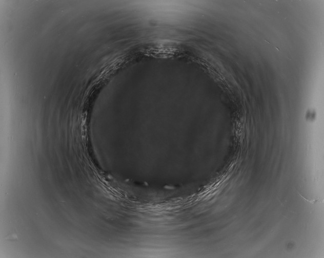 X0000098230818200805151339