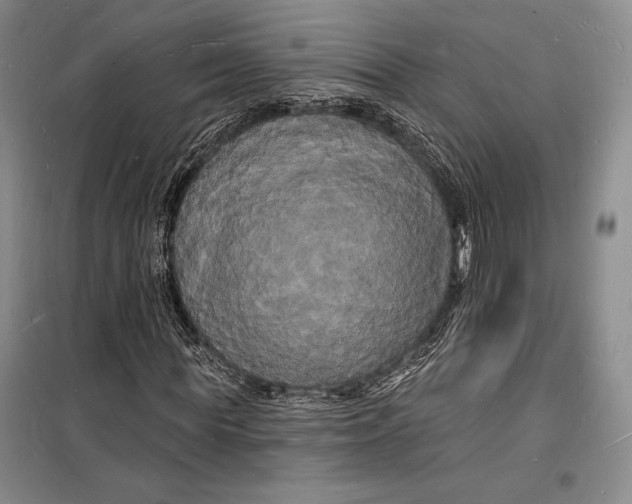 X0000098230819200805151339