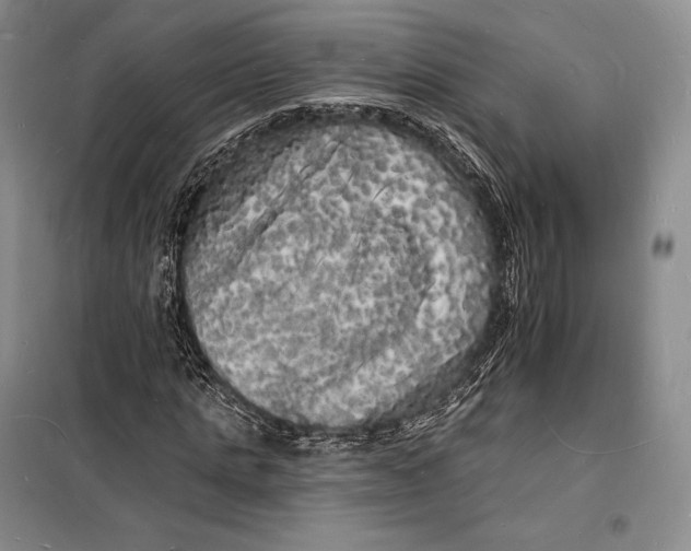 X0000098230821200805151339