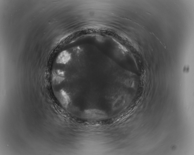 X0000098230822200805151339