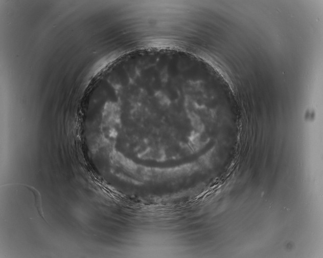 X0000098230823200805151339