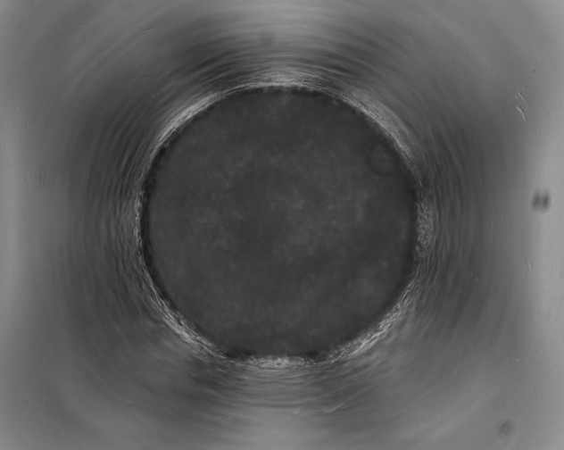 X0000098230826200805151339