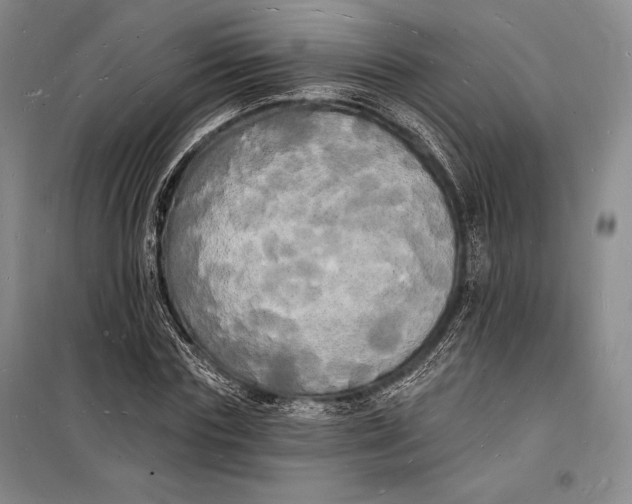 X0000098230827200805151339