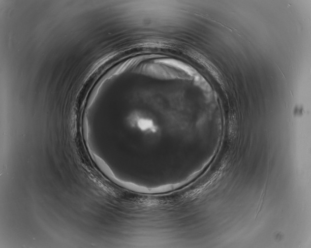 X0000098230829200805151339