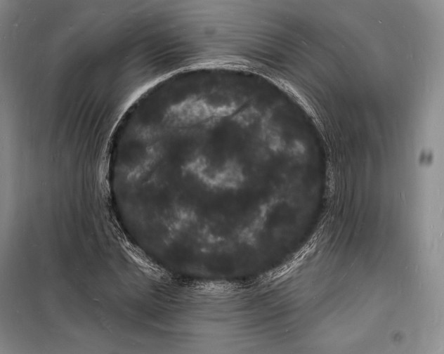 X0000098230830200805151339