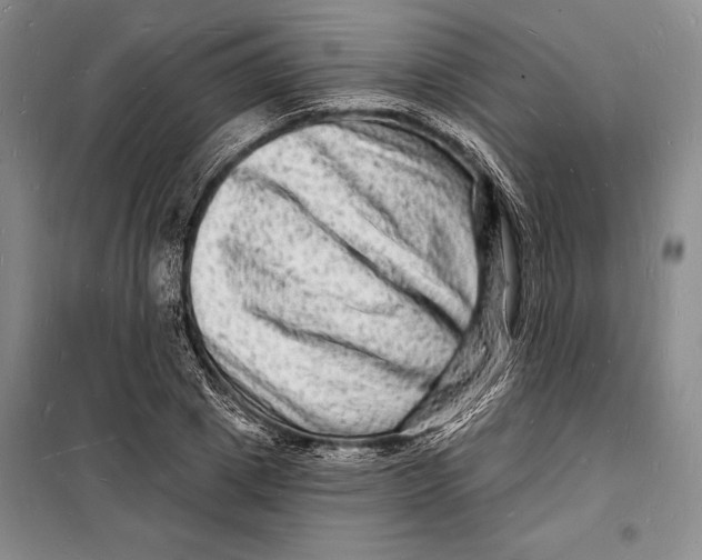 X0000098230833200805151339