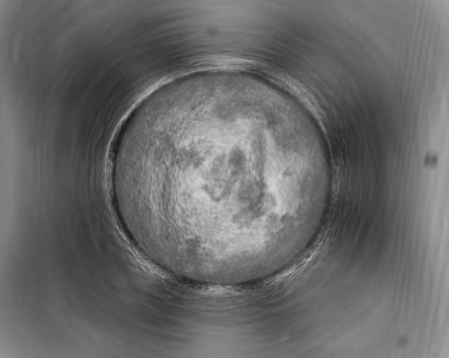 X0000098230835200805151339