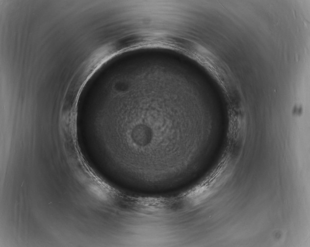 X0000098230836200805151339