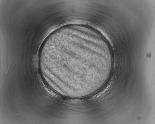 X0000098230837200805151339