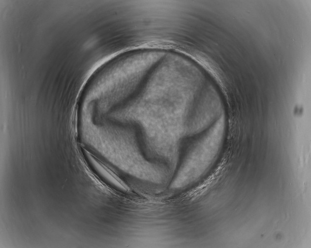 X0000098230838200805151339