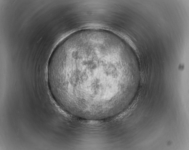 X0000098230839200805151339