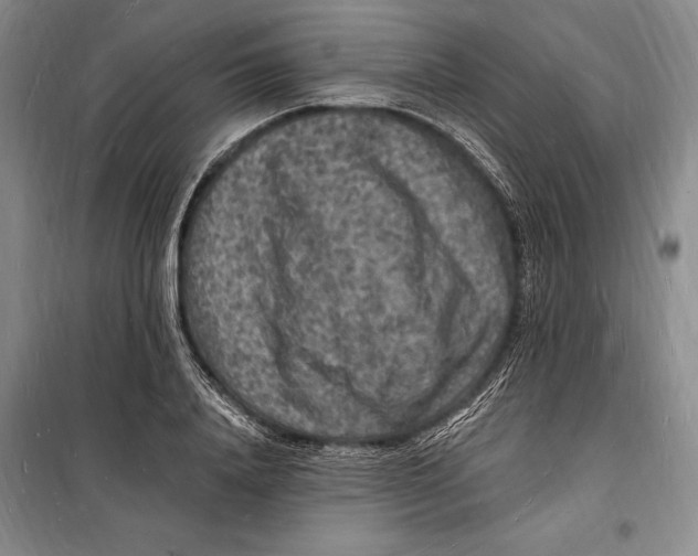 X0000098230840200805151339