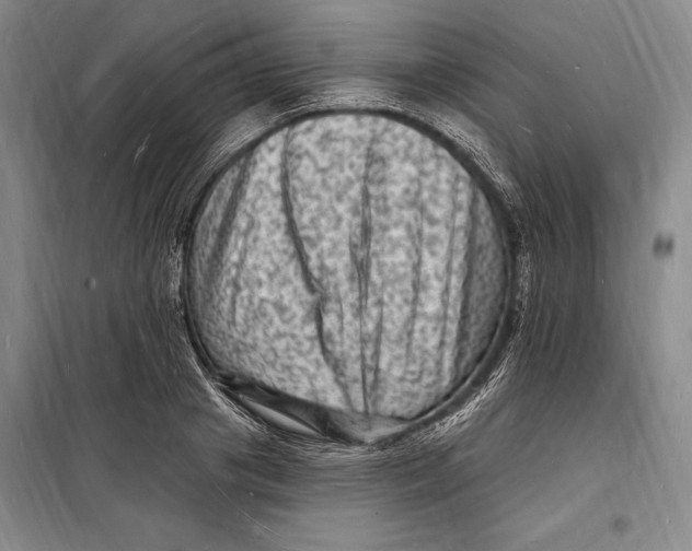 X0000098230841200805151339