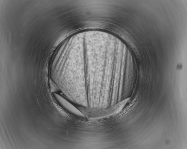 X0000098230842200805151339