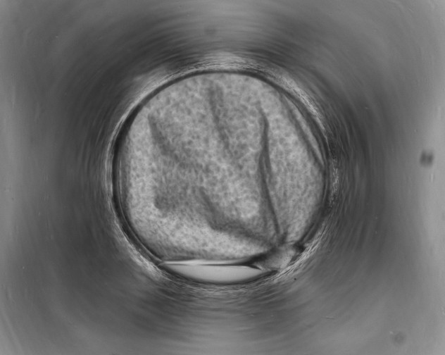 X0000098230843200805151339