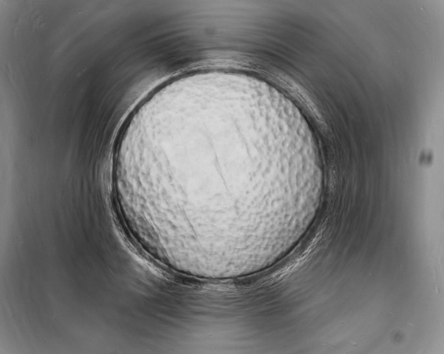 X0000098230844200805151339