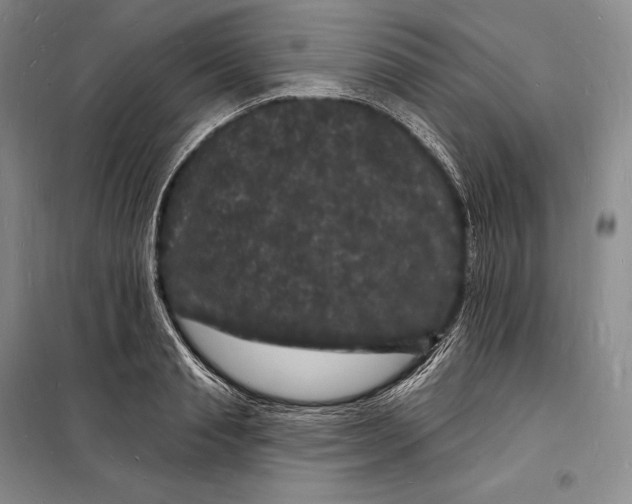 X0000098230845200805151339