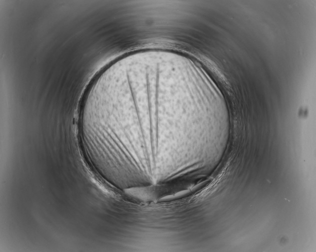 X0000098230846200805151339