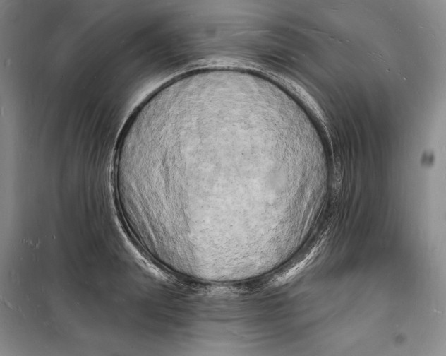 X0000098230847200805151339