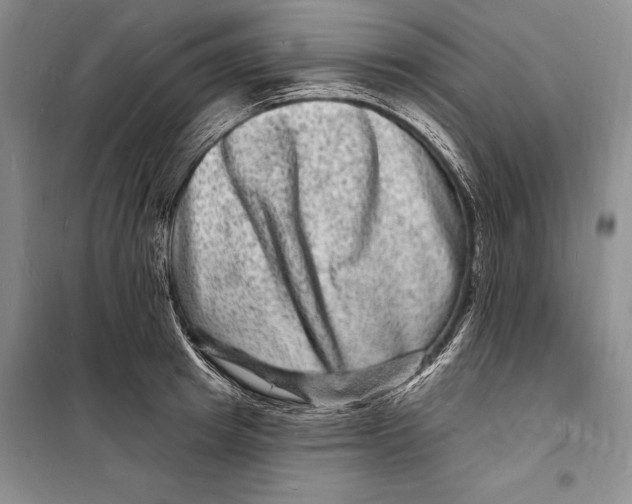 X0000098230849200805151339