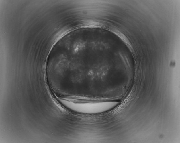 X0000098230850200805151339