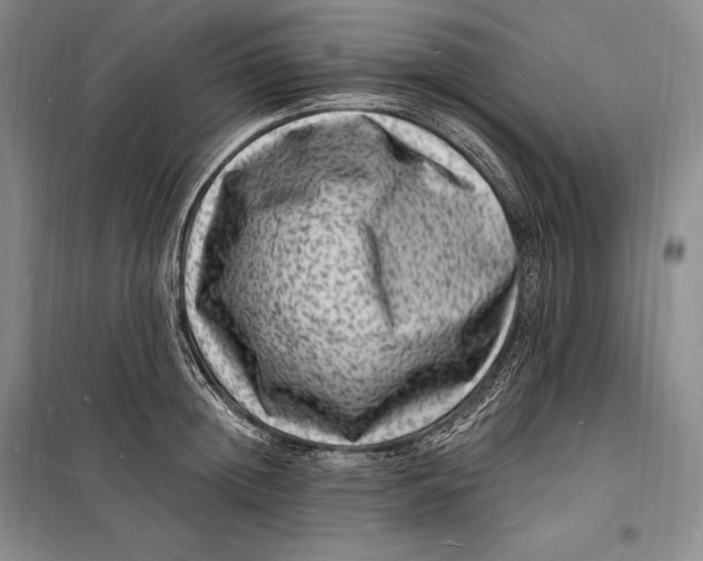 X0000098230852200805151339